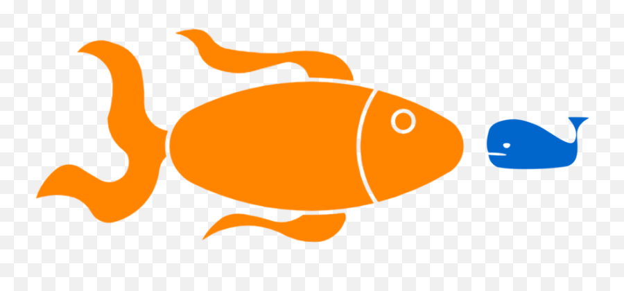 Enormous Goldfish And Tiny Whales A Gestational Age Thought - Aquarium Fish Png,Goldfish Icon