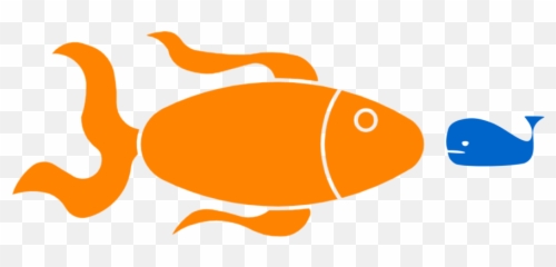 Enormous Goldfish And Tiny Whales A Gestational Age Thought - Aquarium Fish Png,Goldfish Icon