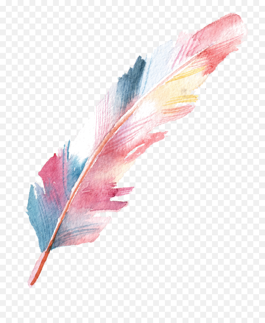 Download Feather Colorful Drawing Watercolor Handpainting Png Transparent Background