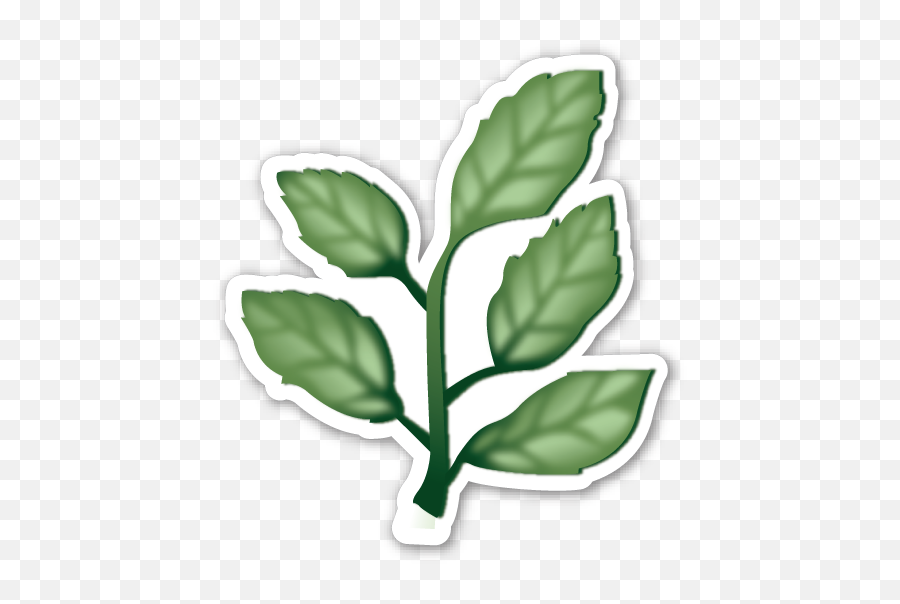 Index Of User - Folderimages22069 Transparent Leaf Emoji Png,Hojas Png