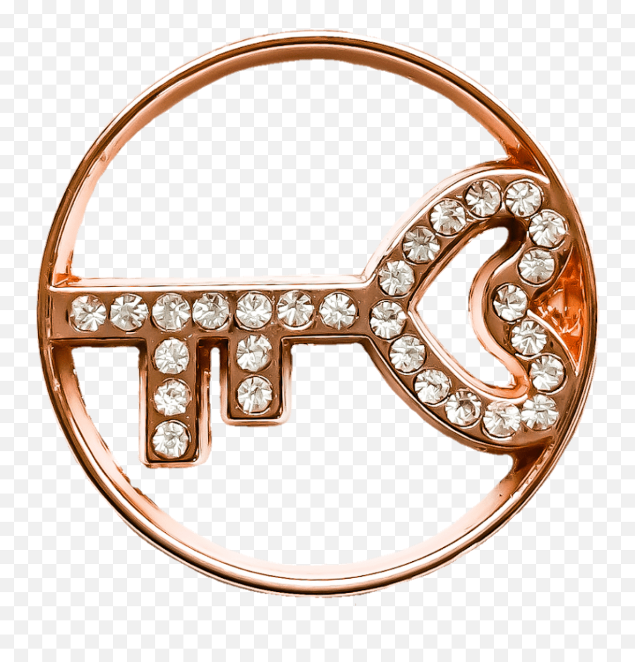 Rose Gold Key Large Plate - Bull Png,Gold Key Png