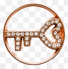Rose Gold Key Large Plate - Bull png