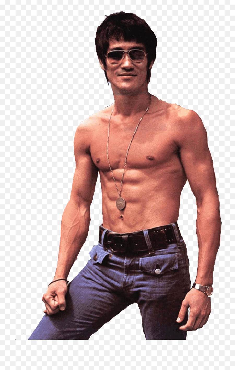 Bruce Lee Png Image