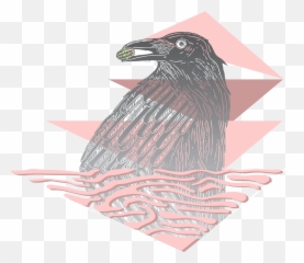 About The Logo - American Crow Png,Crow Logo