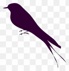 Png Mockingbird Clipart Small Bir - Bird Silhouette,Mockingbird Png
