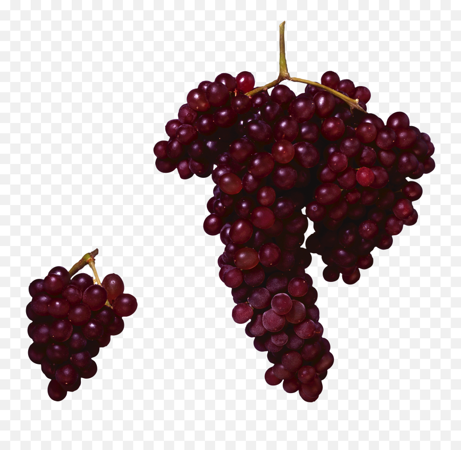 Red Grapes Png Image For Free Download - Red Grape Png,Grape Png