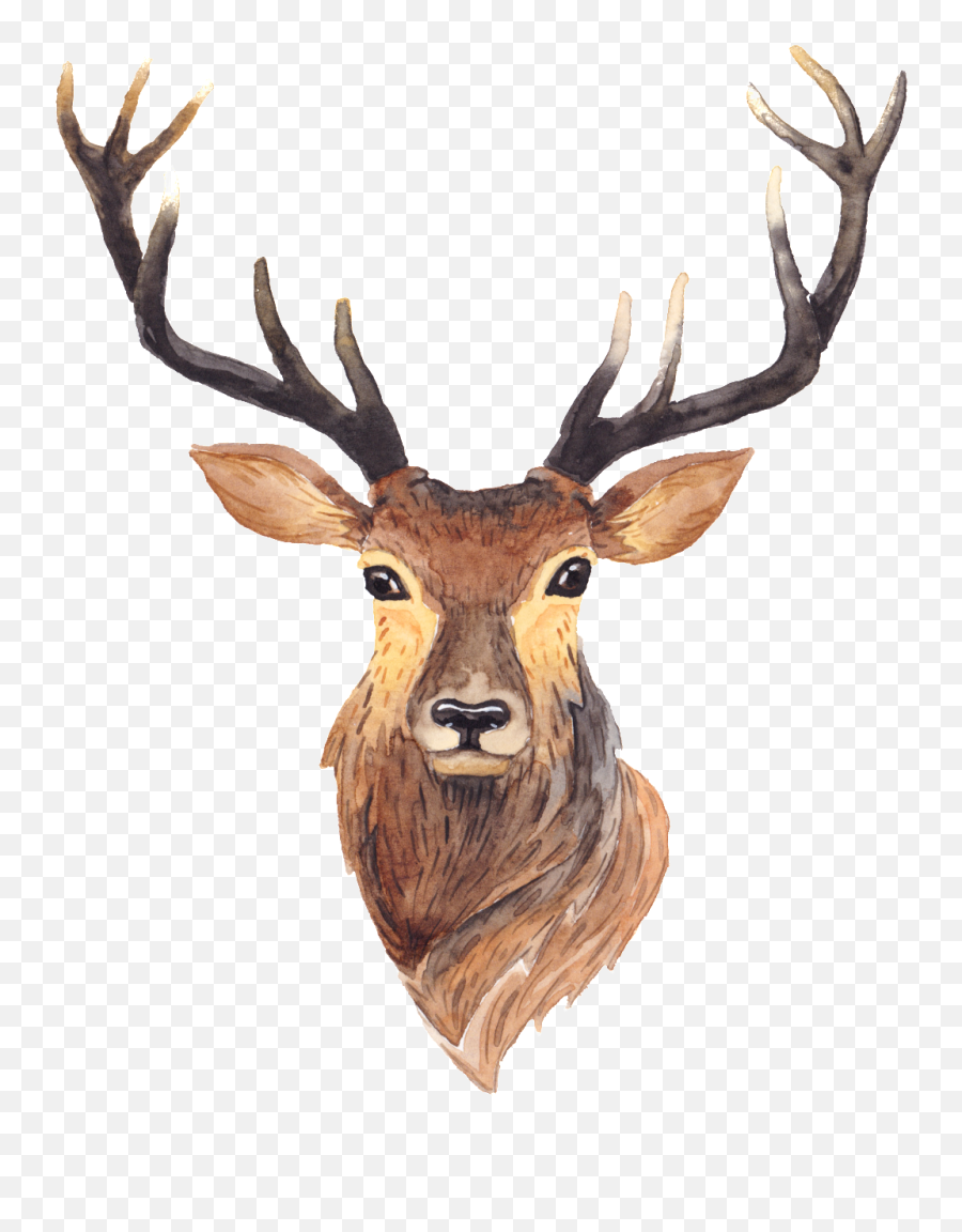 Cartoon Long Horned Deer Transparent Free Buckle Png - Baby Deer With Antlers Painting,Baby Deer Png