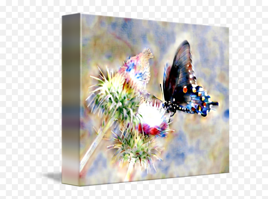 Watercolor Butterfly By Philosophizer X - Papilio Png,Watercolor Butterfly Png