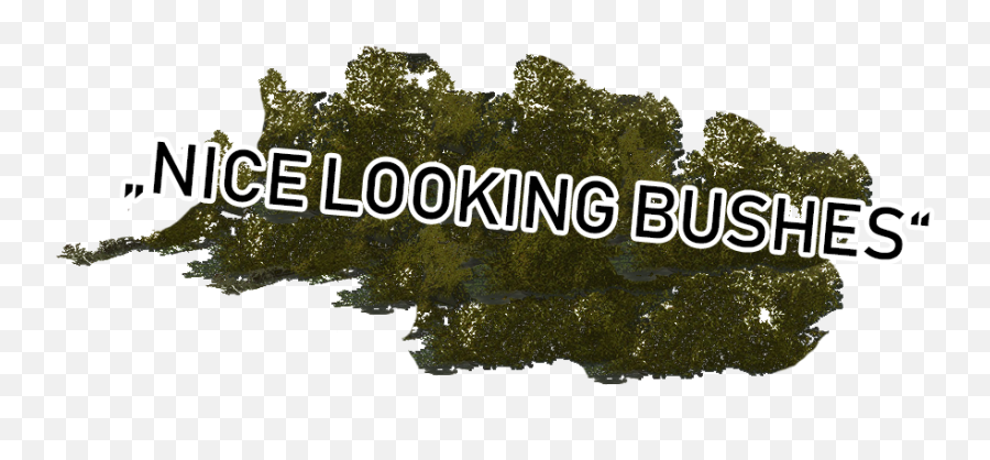 3x Bush Pack Usable 3 Times - Skins Decals And Tree Png,Bush Png