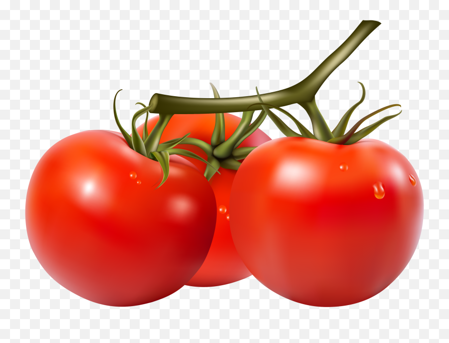 Fruits And Vegetables Veggies - Transparent Tomato Vector Png,Veggies Png