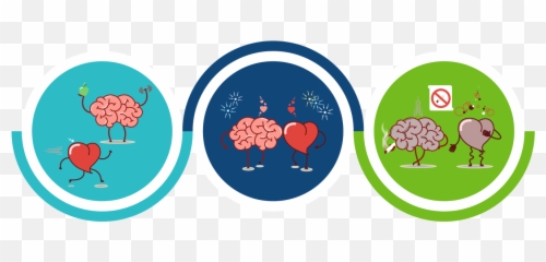 Take Brain Health To Heart Scdhec - Heart And Brain Health Png,Cartoon Brain Png