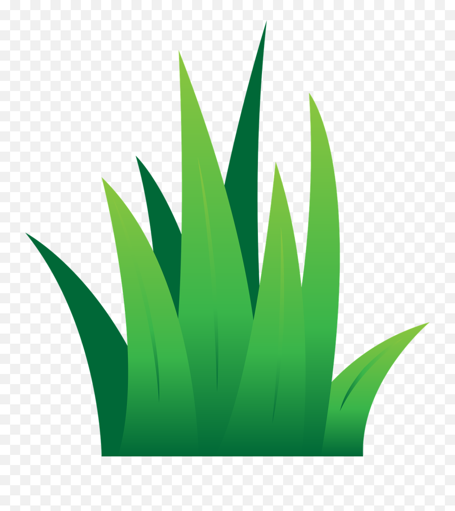 Lawn Green Grass - Free Vector Graphic On Pixabay Green Grass On Clipart Png,Grass Png