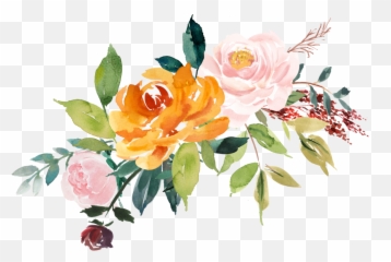 Tropical Flower Watercolor Png Transparent Cartoon - Jingfm Color Flowers