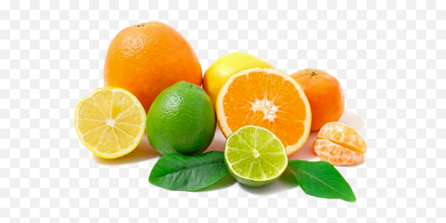 Citrus Fruits - Oranges Lemons And Limes Png,Citrus Png