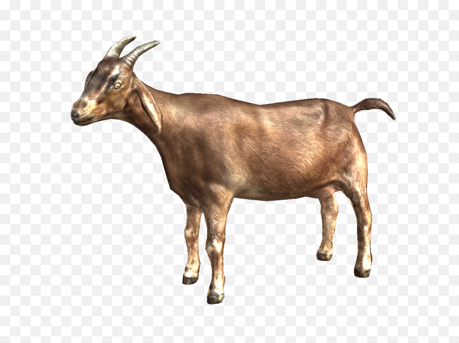 Goats Png 3 Image - Transparent Background Goat Clipart Png,Goats Png