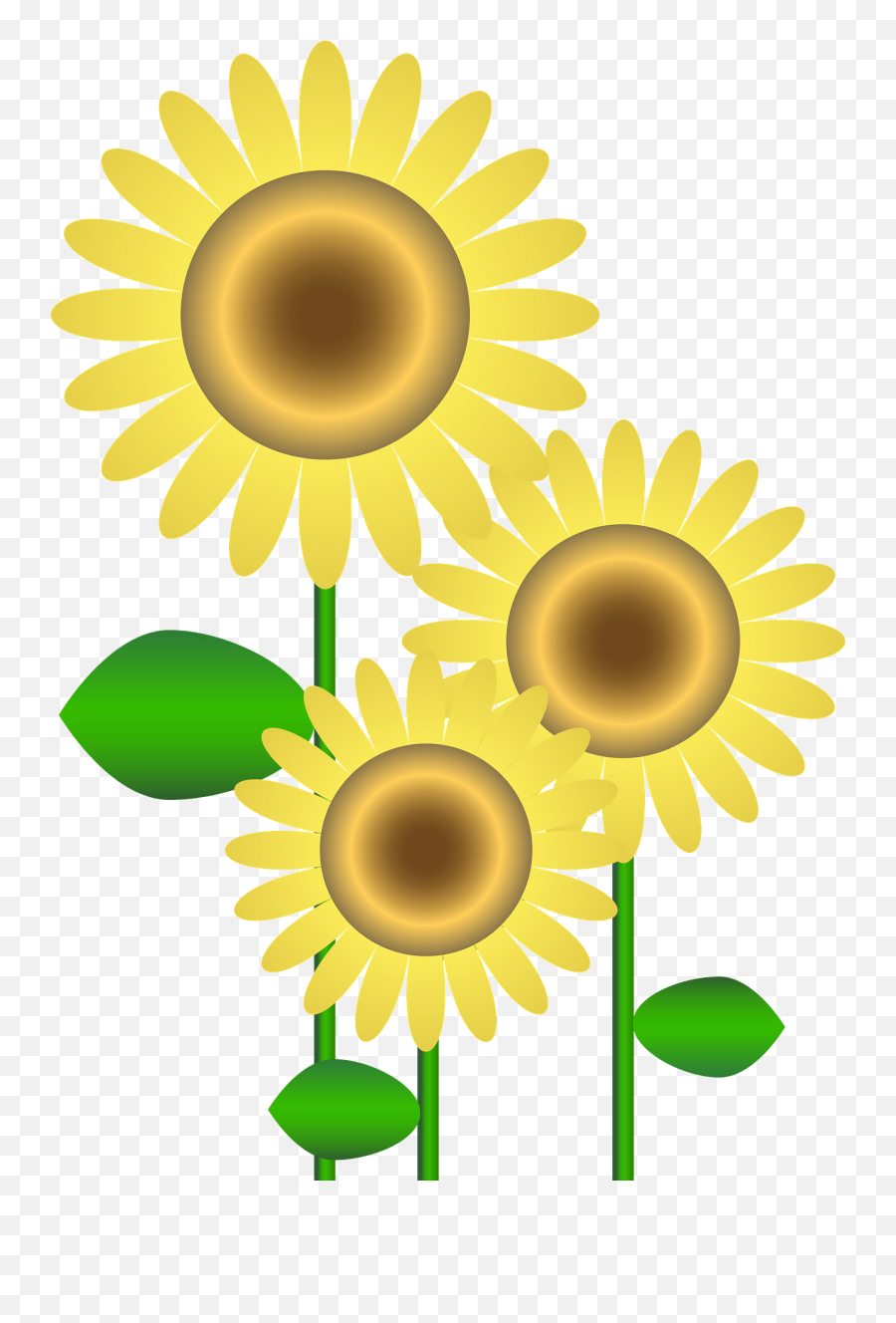 Sunflowers Clipart - Registratore Di Cassa System Png,Transparent Sunflowers