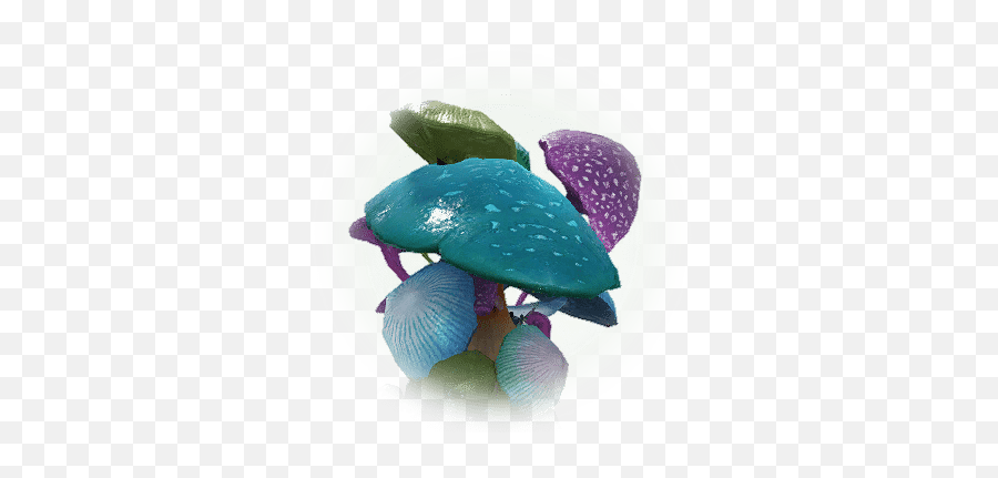 Klaruss Mushroom - Bdo Codex Polly Mushroom Bdo Png,Mushrooms Icon