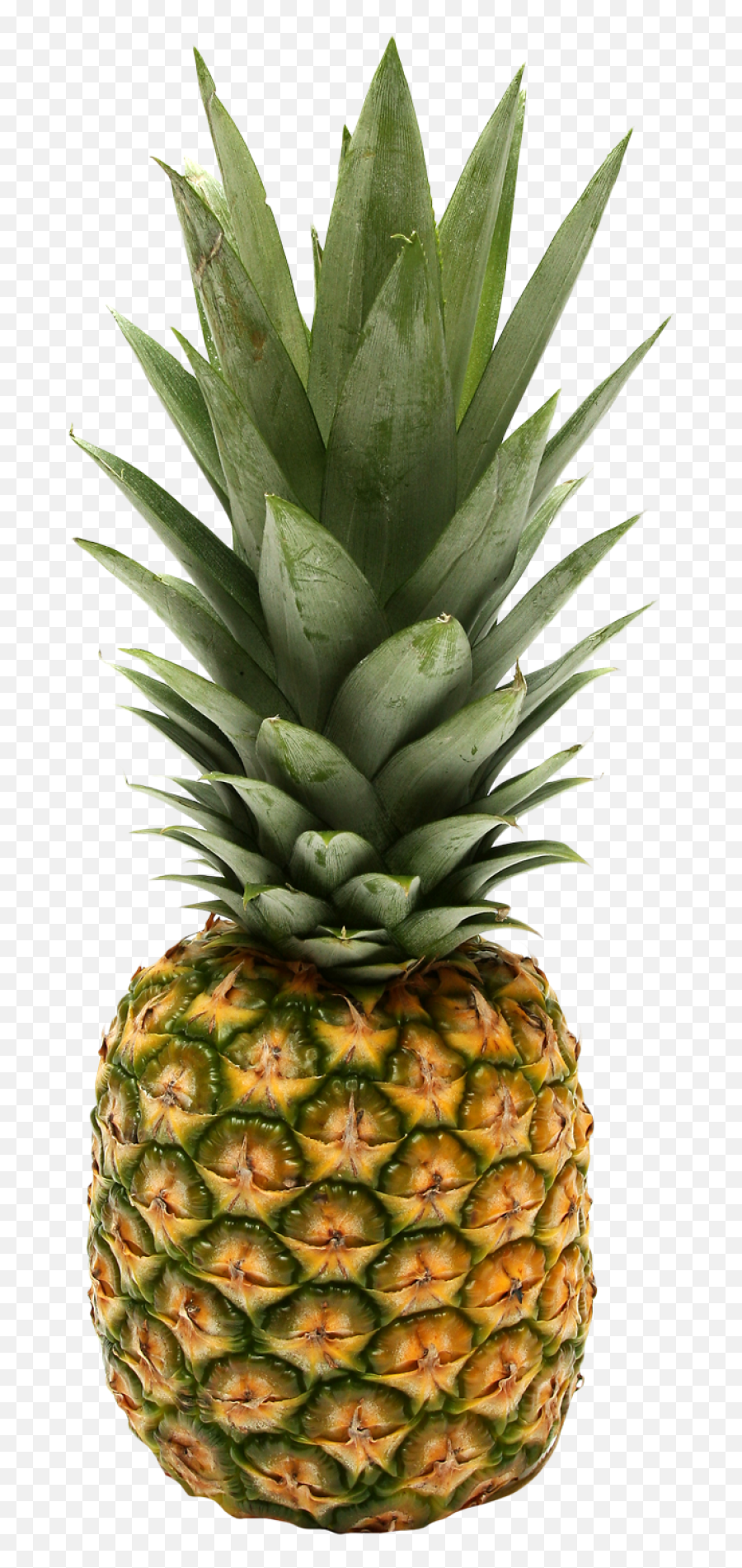 Two Pineapple Png Image - Purepng Free Transparent Cc0 Png Rick And Morty Fruit,Pineapple Transparent