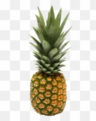 Two Pineapple Png Image - Purepng Free Transparent Cc0 Png Rick And Morty Fruit,Pineapple Transparent