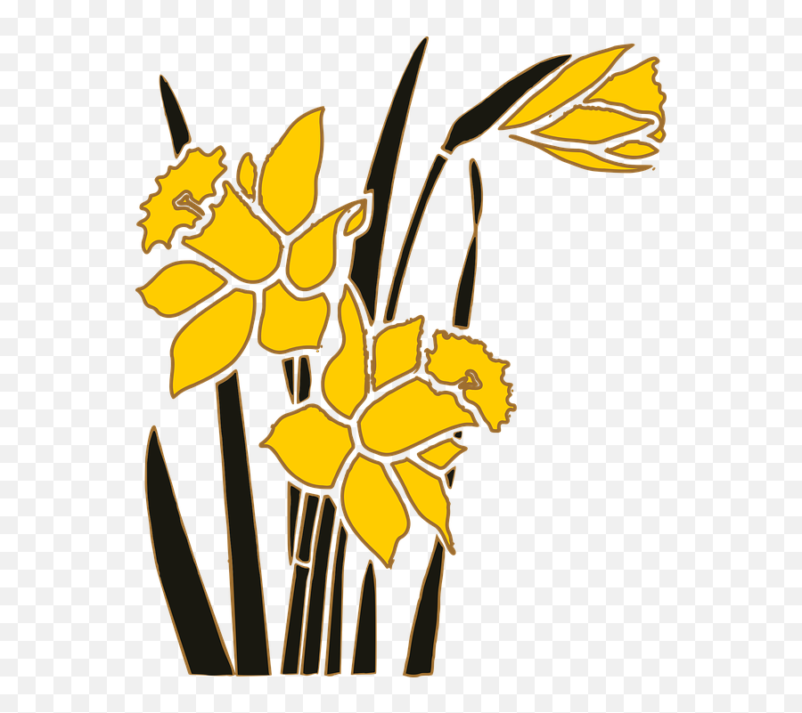Flower Garden Narcissus - Free Vector Graphic On Pixabay Narcissus Flower Art Png,Flower Garden Png