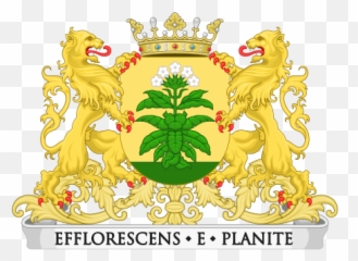 Medan - Wikiwand png