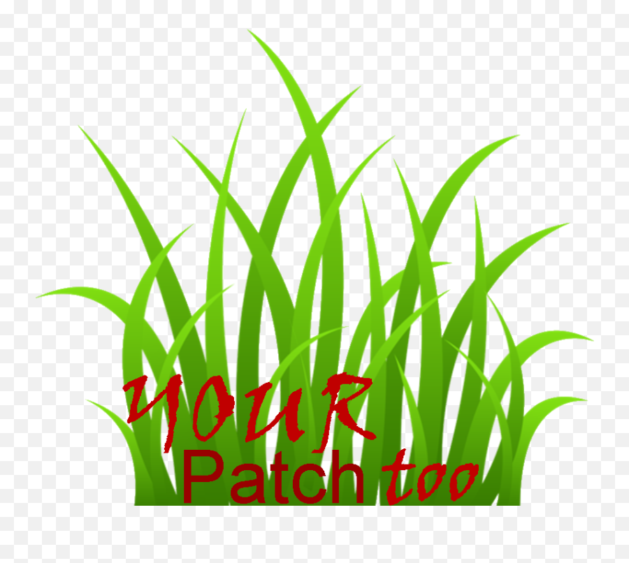 Grass Clipart Transparent - Transparent Background Grass Clipart Png,Grass Clipart Transparent