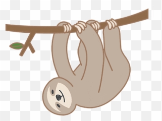 Sloth Smile Sticker - Happy Discover u0026 Share GIFs Transparent Animated Gif png