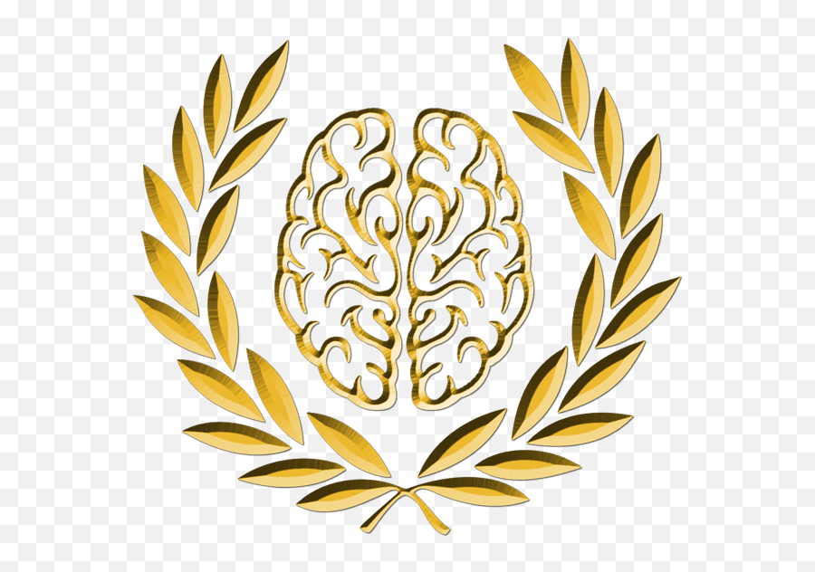 Gulf Coast Neurotherapy - Decorative Png,Gold Icon