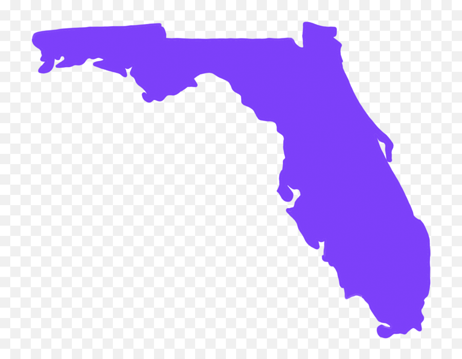The South Got Something To Say A Celebration Of Southern - Florida Map Vector Png,Def Jam Fight Icon