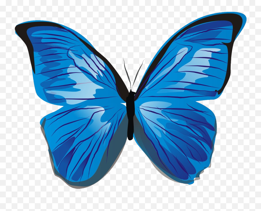 Blue Butterfly Png Images Collection - Blue Butterfly Clipart Png,Blue Butterflies Png