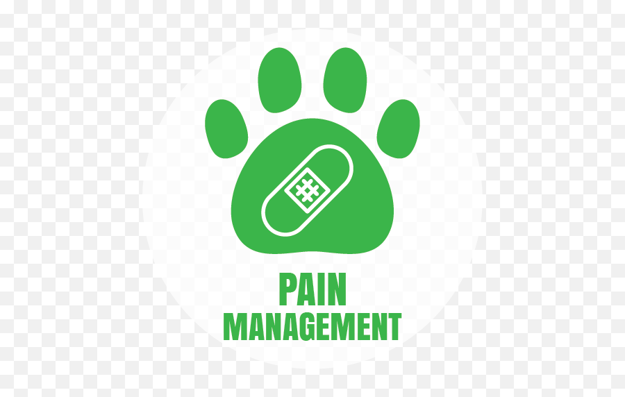 Salt - Riverveticonpainmanagement01 Salt River Entreprise Informatique Png,Pain Relief Icon