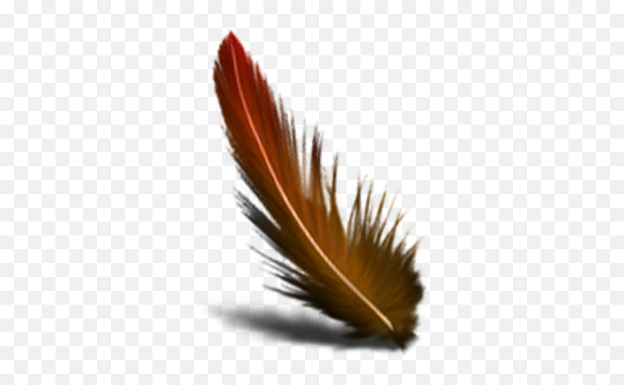 Feather Free Images - Vector Clip Art Online Chicken Feather Clipart Png,Feather Icon Png