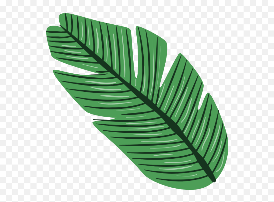 Tropical Plants Green Leaves - Vector Tropical Leaf Png,Tropical Leaf Png