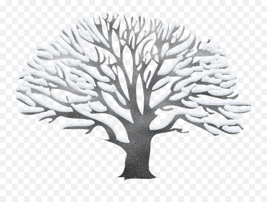 Library Of Winter Tree Clipart Png Snow Trees
