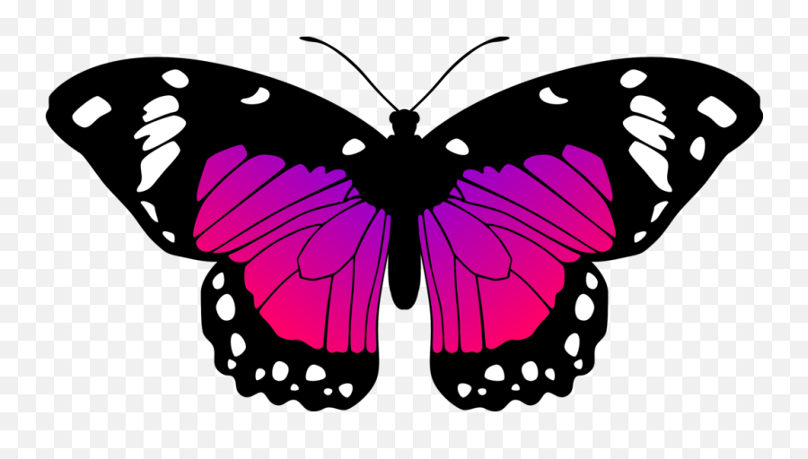 Butterflies Transparent Pink Purple - Butterfly Black And White Clipart Png,Purple Butterfly Png