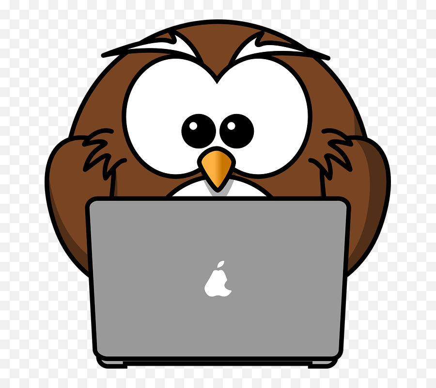Funny S Computer - Owl On Laptop Clipart Png,Funny Pngs