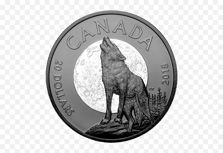 Download Hd Pure Silver Coin - Nocturnal By Nature Coin Cash Png,Silver Coin Png