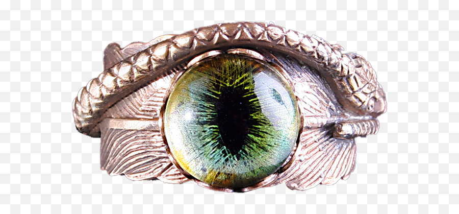 Snake Eye Png - Macro Photography,Snake Eye Png