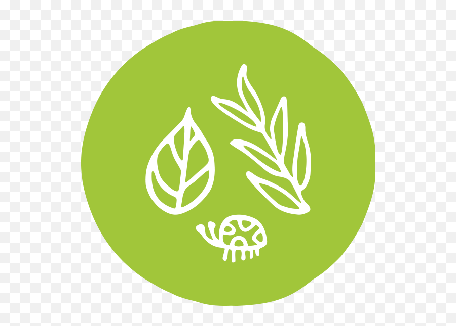 Nature Economy And People Connected - Grey Button Instagram Png,Youtube Logo Ong