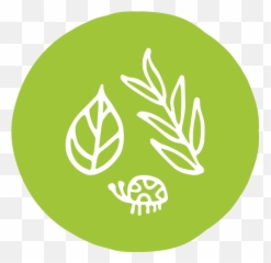 Nature Economy And People Connected - Grey Button Instagram Png