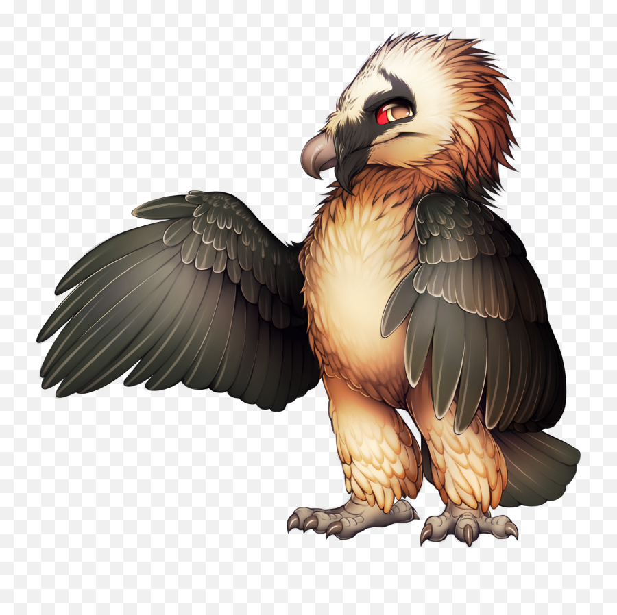 Prey Bearded Vulture Egyptian - Bearded Vulture Clipart Png,Vulture Png