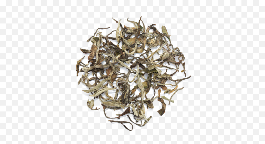Download White Tea Leaves Chaisafari - Scrap Png,Tea Leaves Png