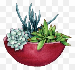 Flower Pot Png - Succulent Bowl Png 484507 Vippng Succulents In Bowl Illustration,Succulent Transparent Background