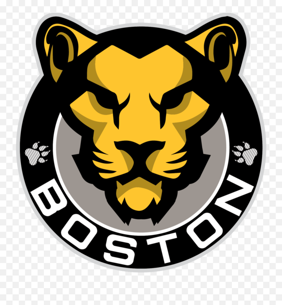 Boston Bruins Announce New Partnership - Boston Pride Hockey Logo Png,Boston Bruins Logo Png