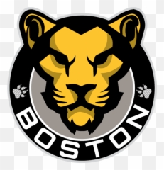 Boston Bruins Announce New Partnership - Boston Pride Hockey Logo Png,Boston Bruins Logo Png