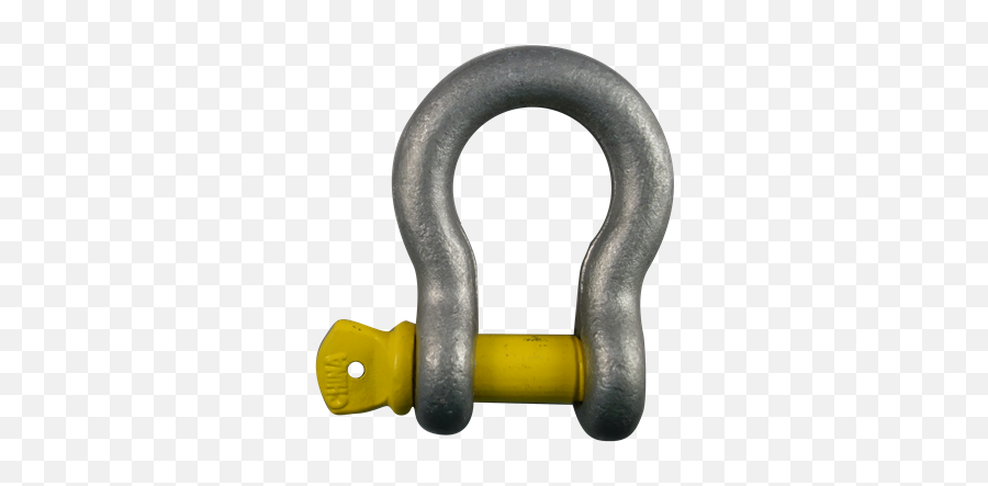Rhino 19mm 4 - Bow Shackle Png,Shackles Png