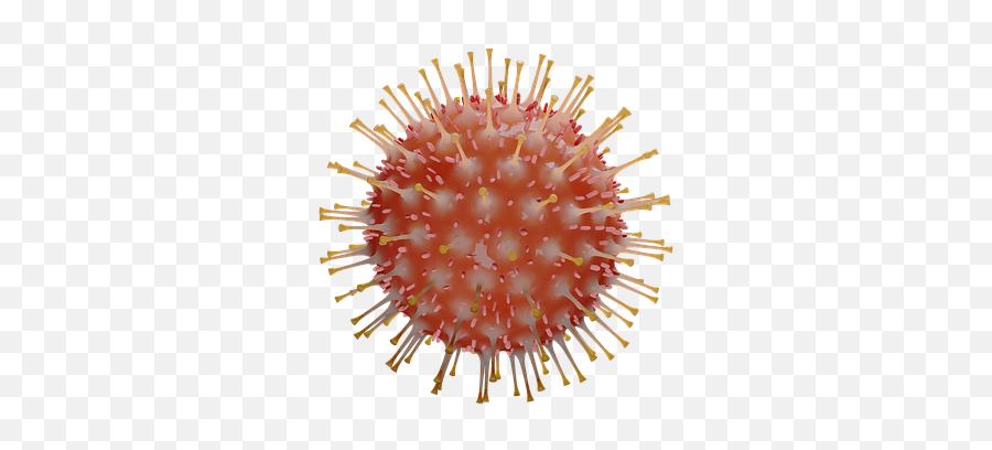 2 Free Corona Coronavirus Images - Coronavirus Transparent Png,Virus Transparent