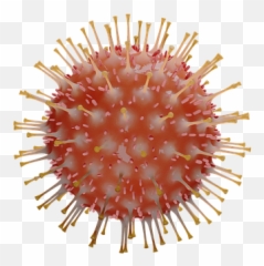 2 Free Corona Coronavirus Images - Transparent png
