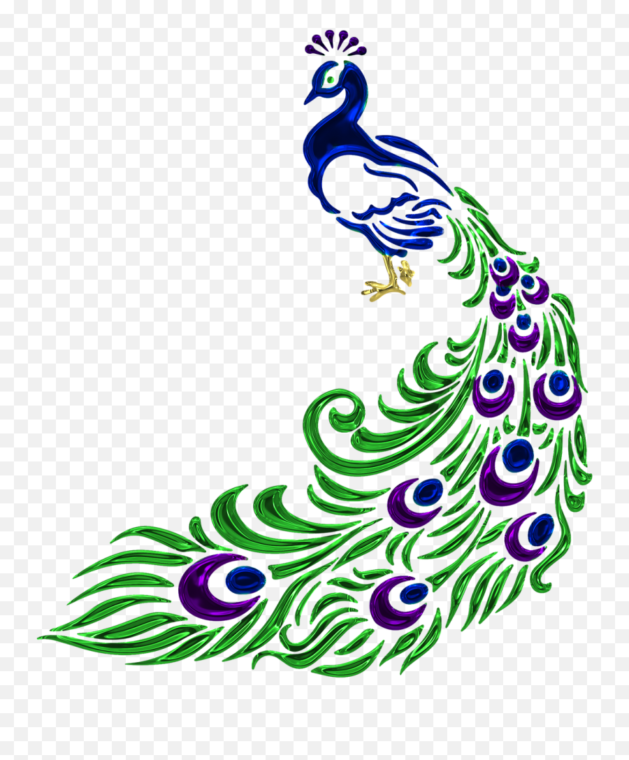 Free Image - Black And White Peacock Png,Feather Silhouette Png