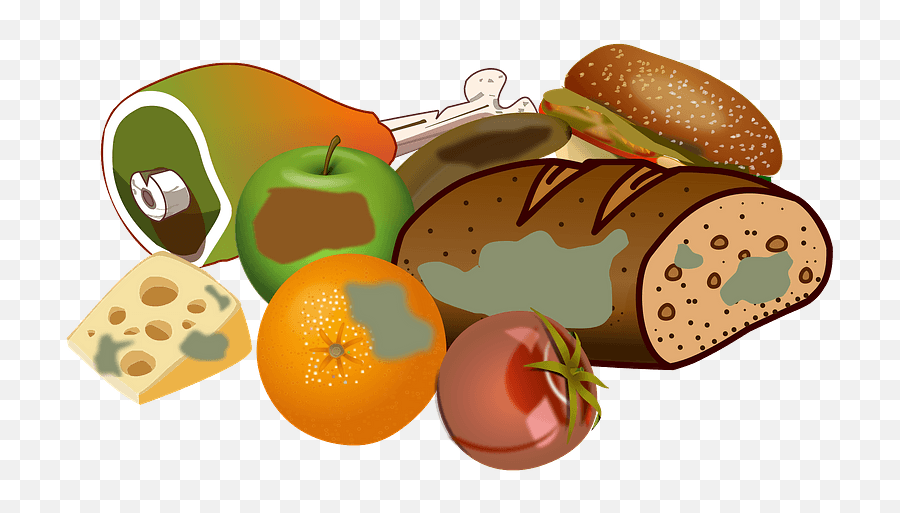Wasting Food Clipart - Food Waste Png,Food Clipart Png